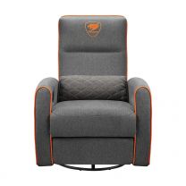 Cougar FIDOM GRAY