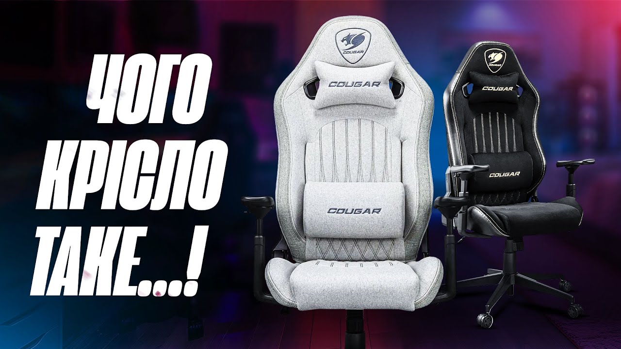 Це крісло краще мого особистого?! Cougar Explore Royal!